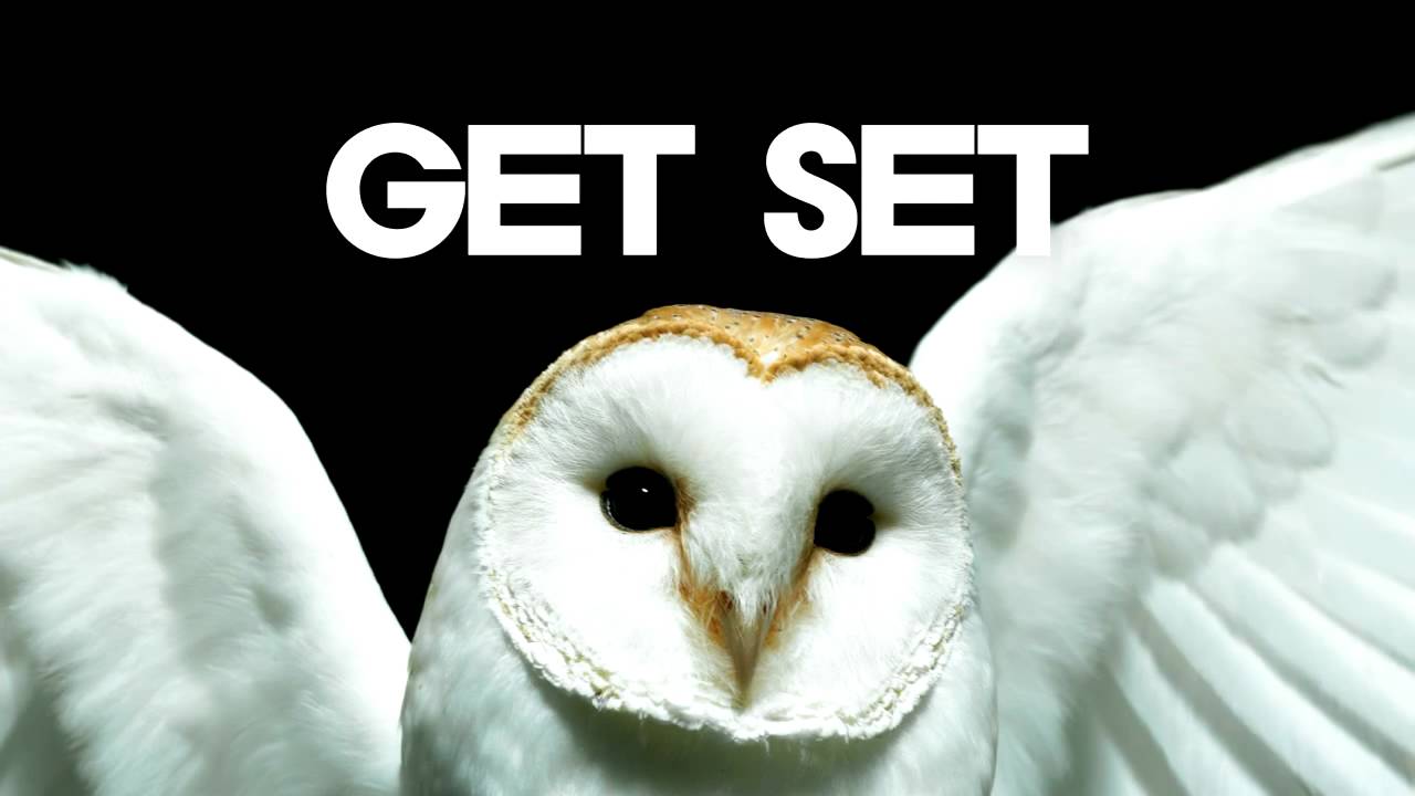 Deftones - Diamond Eyes [Official Lyric Video]