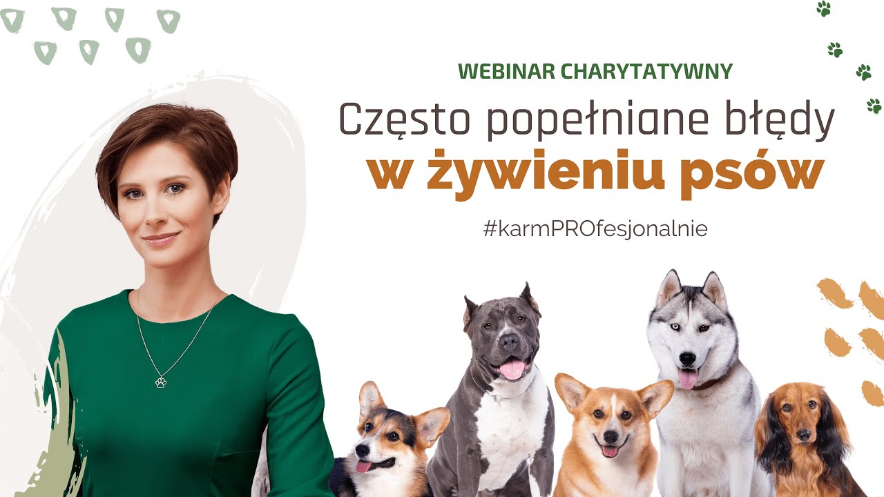Często popełniane błędy w żywieniu psów - Dr Karolina Hołda