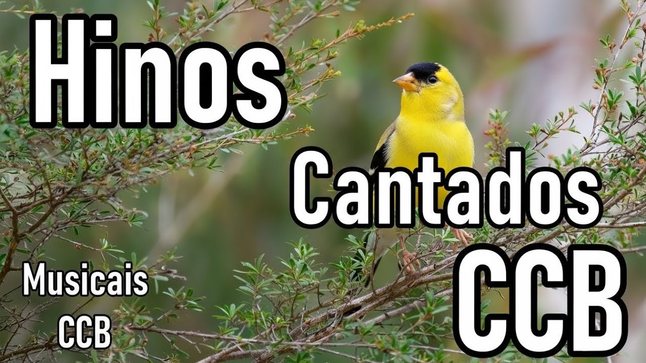HINOS CCB CANTADOS -  12/02/2026 - Musicais CCB -  352,355,369,385,395,405,441,452,480........