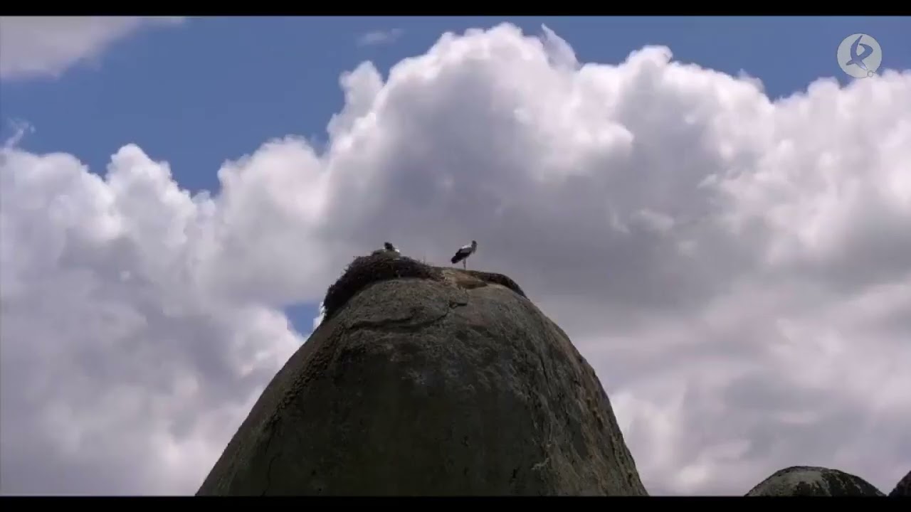 Los Barruecos: la esencia del berrocal | Paisaje Natural