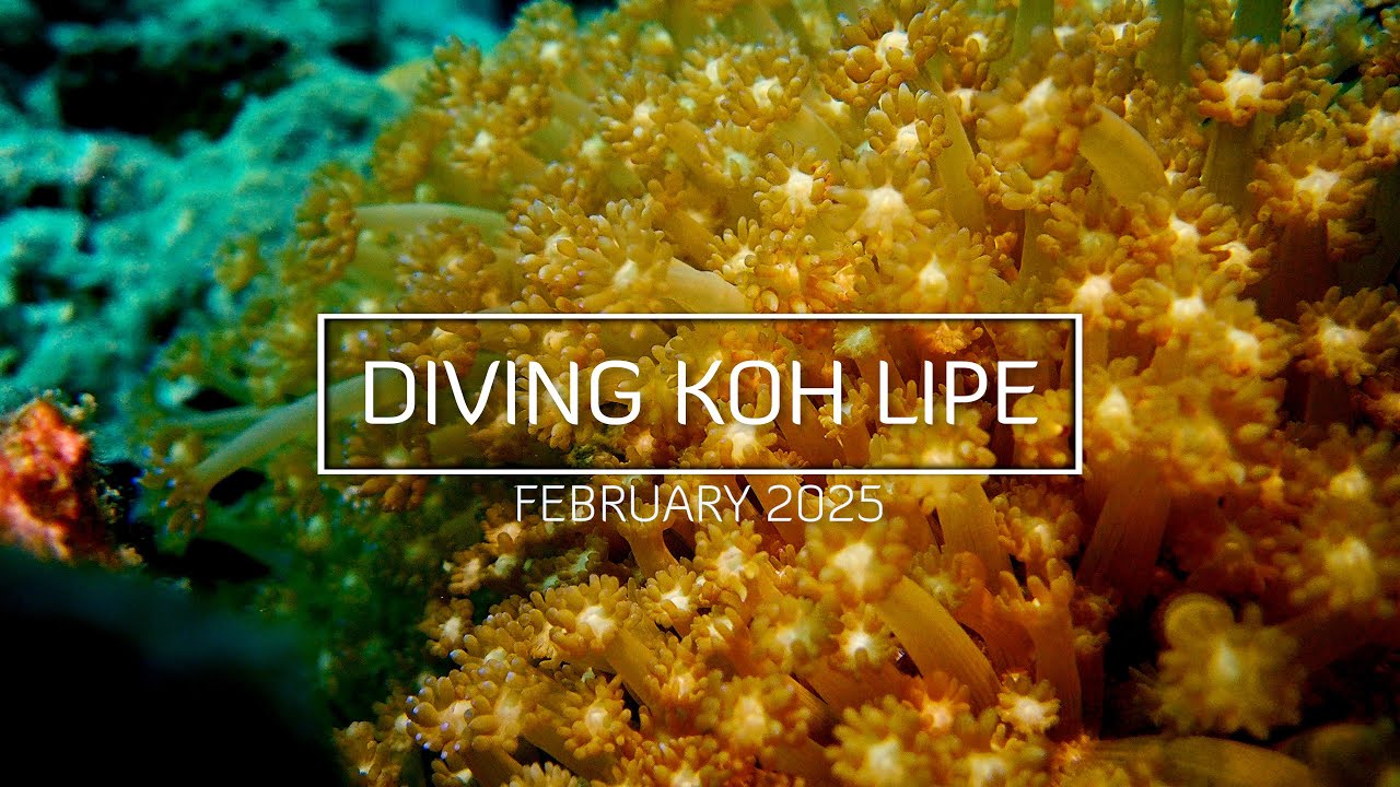 Scuba Diving Koh Lipe