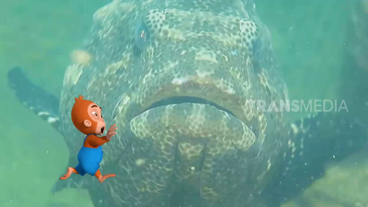 SI OTAN | IKAN IKAN BURUAN NELAYAN (20/02/19) PART 3