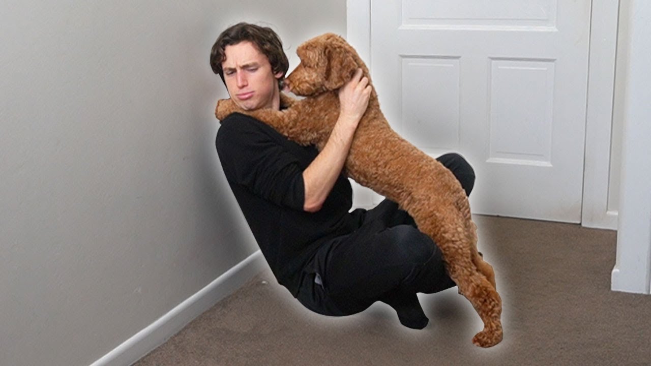 I taught my dog to hug me when he's sorry