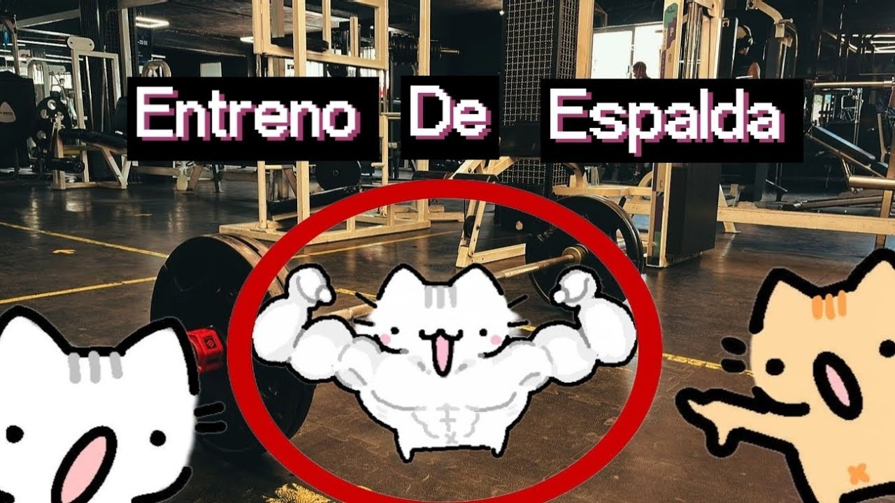 Rutina de espalda. 