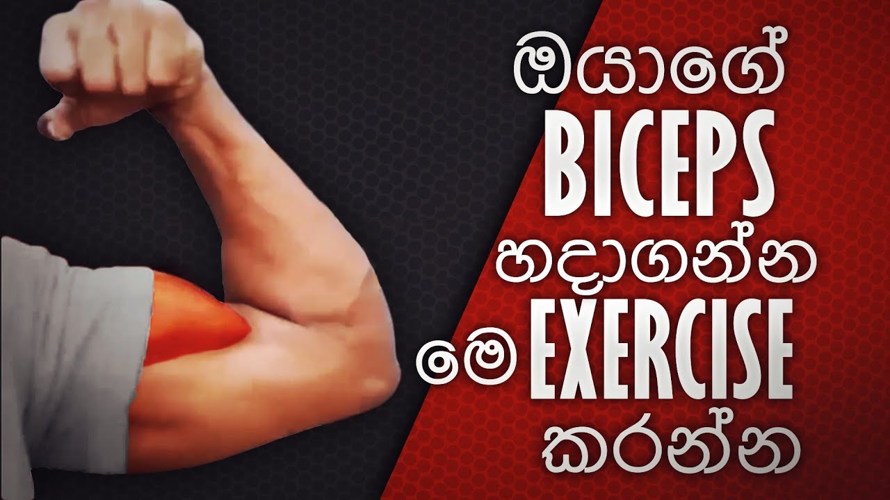 ලොකු Biceps හදාගන්න! | Bicep Training tips & Common Mistakes