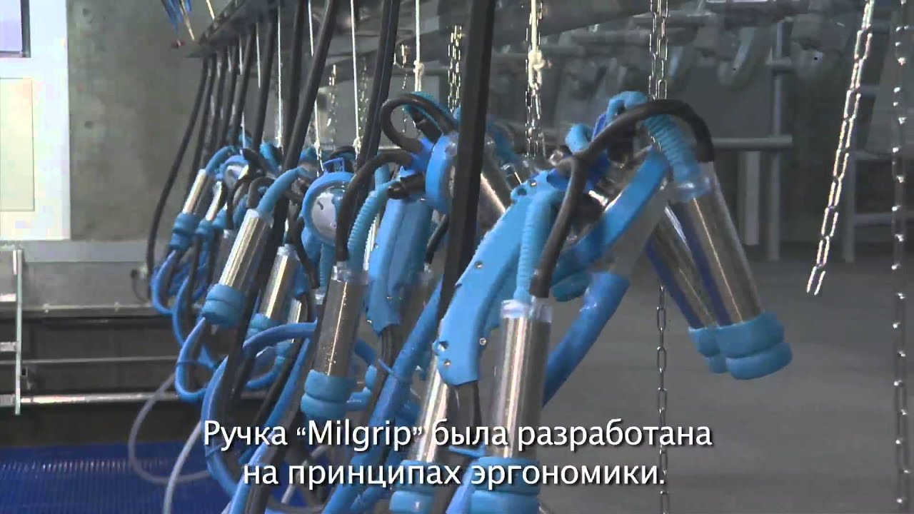 Доильный зал ПАРАЛЛЕЛЬ от Milkline - Ваша корова достойна лучшего!