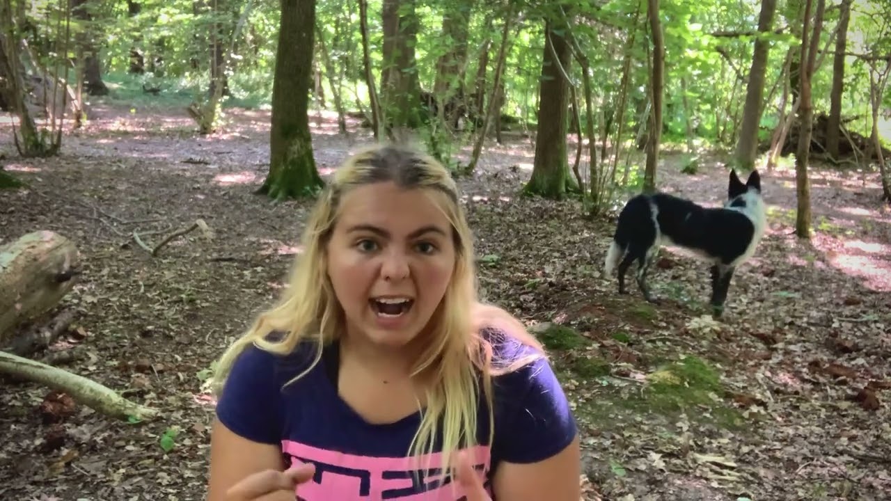 My dogs hates pugs, bulldogs and black dogs