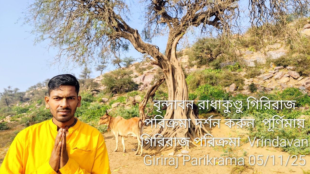 বৃন্দাবন রাধা কুন্ডু রাস পূর্ণিমা গিরিরাজ পরিক্রমাদর্শন করুন Giriraj Parikrama Darshan Vrindavan2025