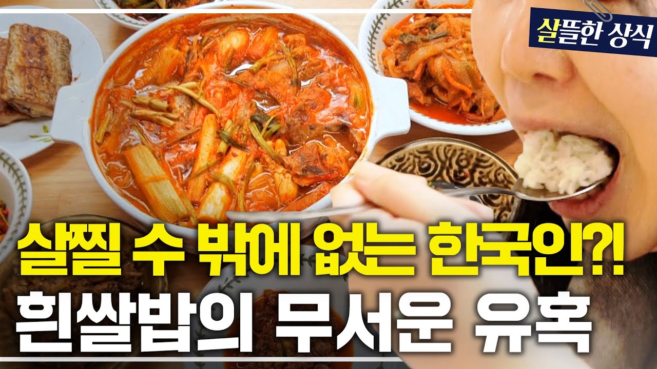 식욕 과잉의 시대, 해답이 우리 '밥'상에 있다?!🍚｜다큐초이스｜JTBC 240511 방송 외
