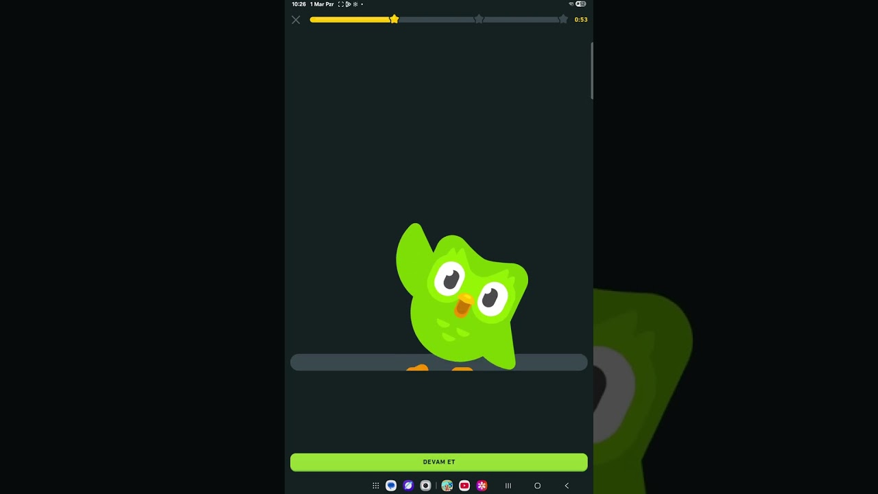 Duolingo