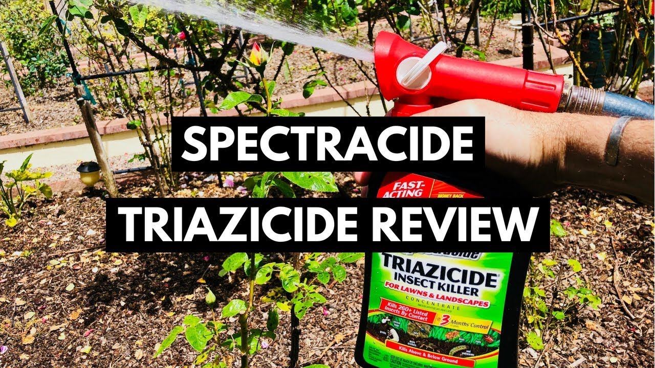 Spectracide Triazicide Review And Demonstration