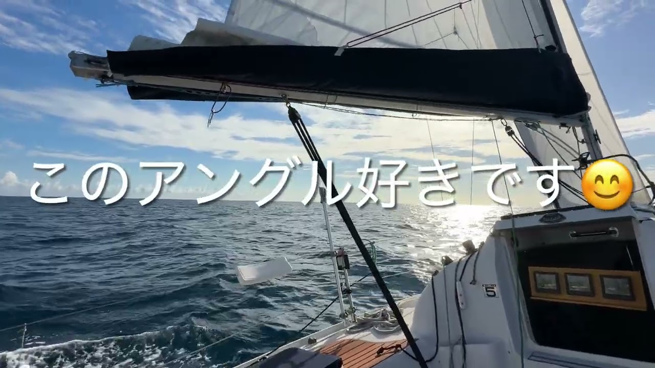 【12月とは思えない陽気】