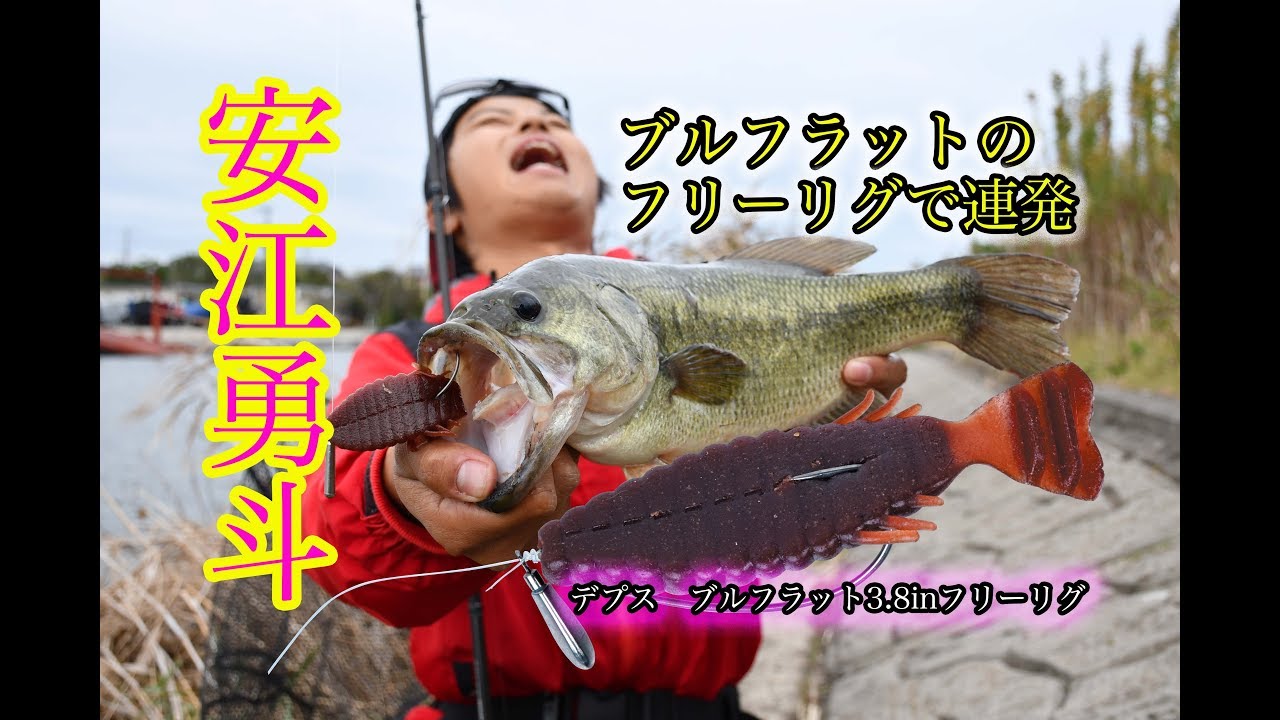【安江勇斗】ブルフラ3.8フリーリグで連発！