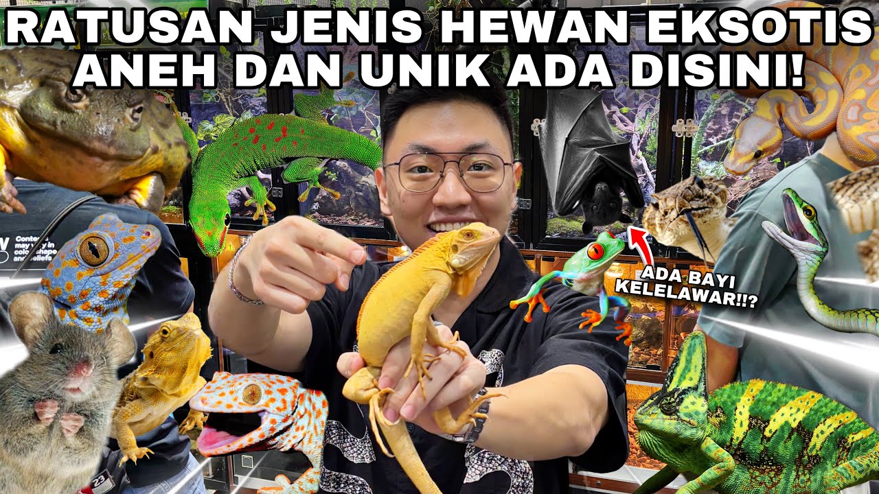 GREBEK TOKO FULL HEWAN EKSOTIS UNIK DAN ANEH DI PAMERAN BINATANG TERBESAR DALAM MALL