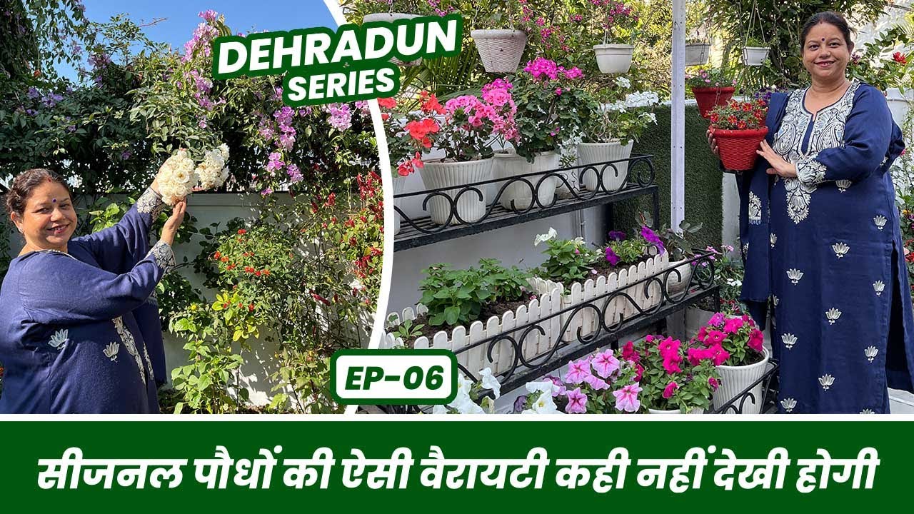 ऐसे सीज़नल पौधे कही नहीं देखे होंगे 😱 देहरादून की अनोखी बगिया 🌸 Dehradun Garden Tour Series EP-06