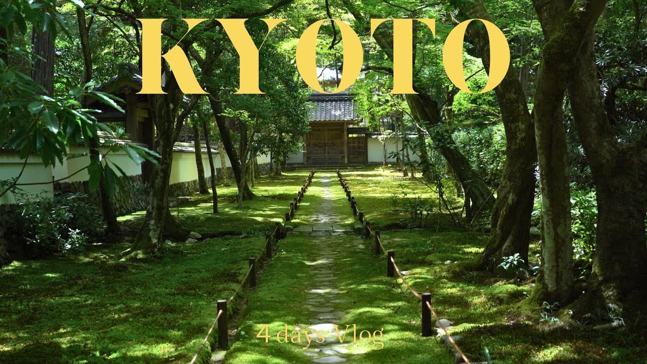 おだやかな夏の京都｜Kyoto vlog｜京都みやげ｜4days Travel Diary｜Kyoto HAUL