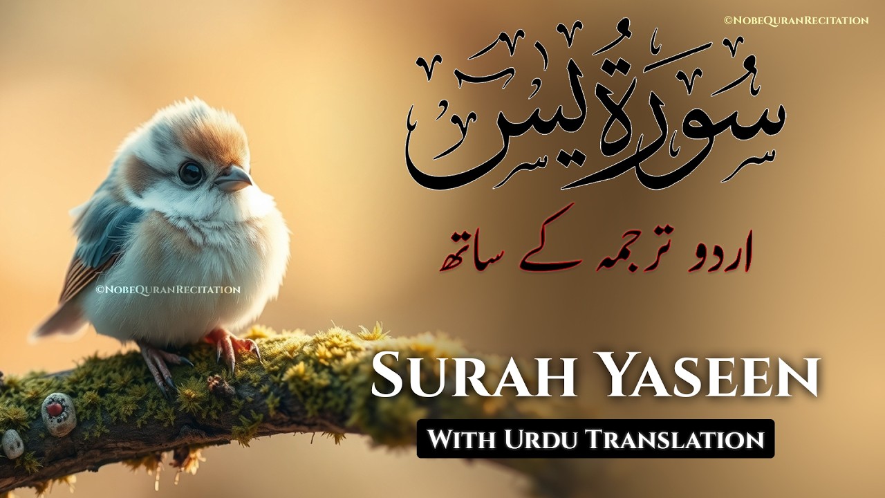 Surah Yaseen Urdu Tarjuma k Sath | Qari Al Sheikh Abdul Basit Abdul Samad | Heartfelt Recitation