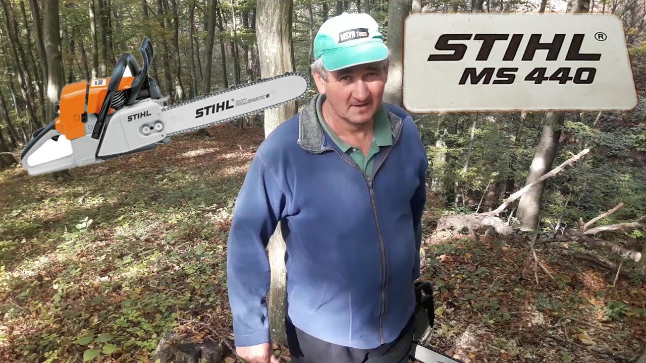 Rad u šumi sa motorkom Stihl MS 440. Grabova šuma, obaranje i sečenje.