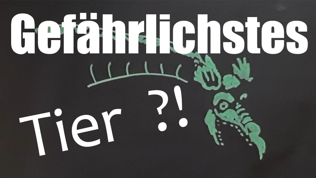 Warum wir so gut sehen (Die Schlange in unserer Evolution und Religion)