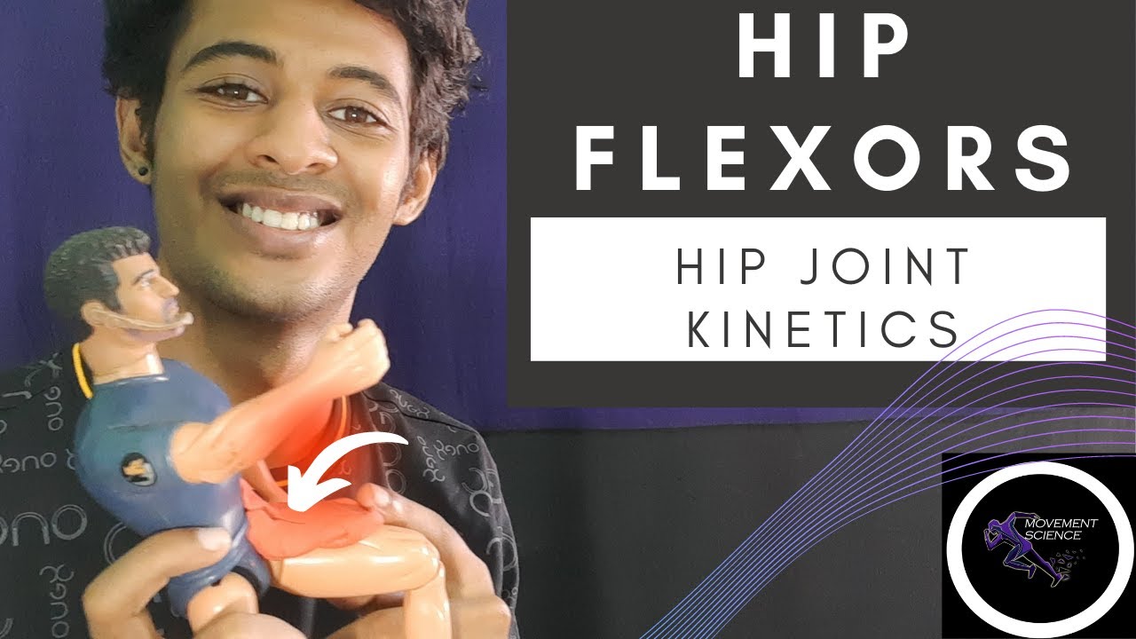 HIP JOINT FLEXORS (HIP JOINT KINETICS(HIP JOINT COMPLEX BIOMECHANICS)Physiotherapy Tutorials