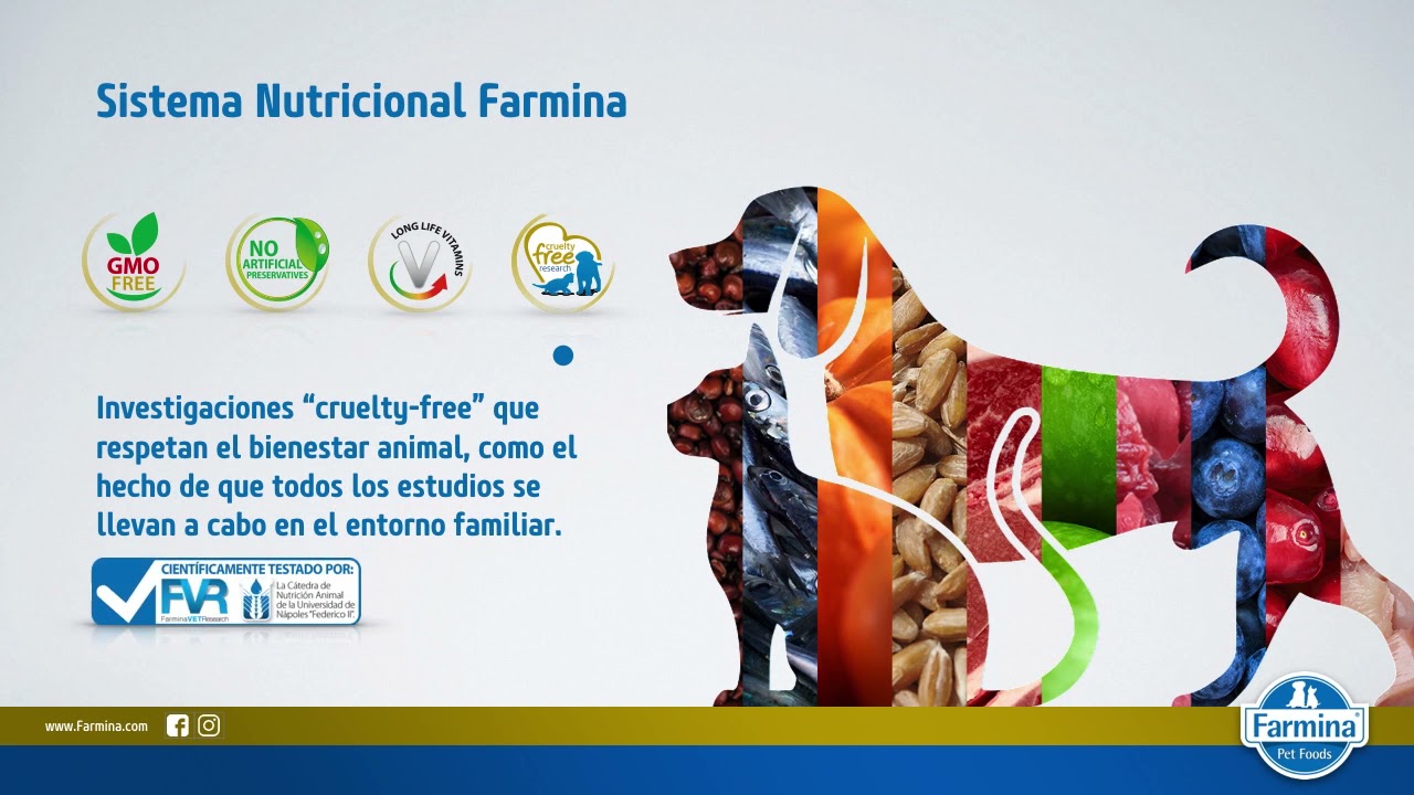 Farmina vetlife
