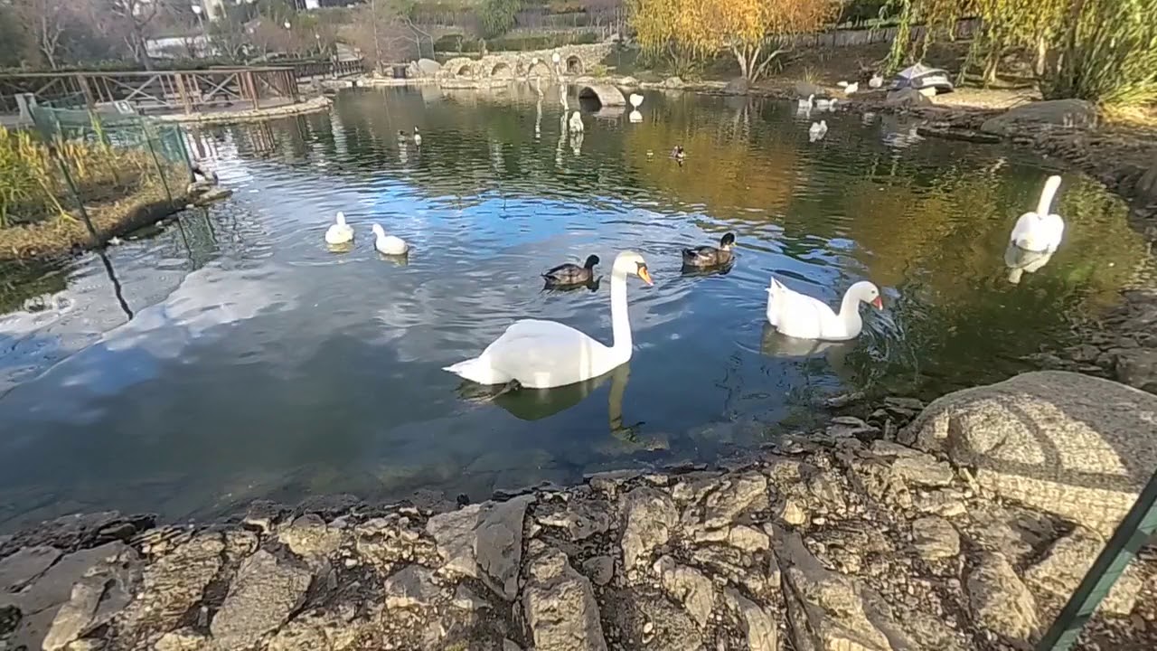 Parco della Biodiversit&agrave; (CZ)
