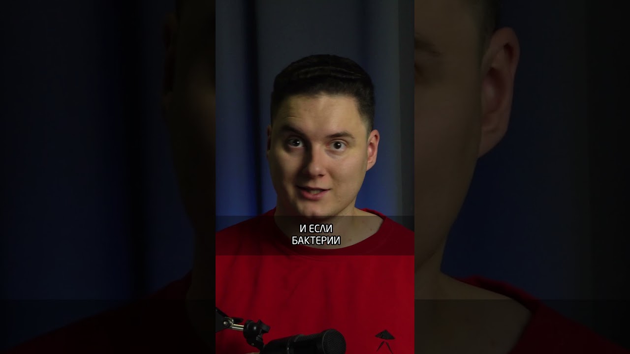 Болезнь лижет суставы и кусает сердце