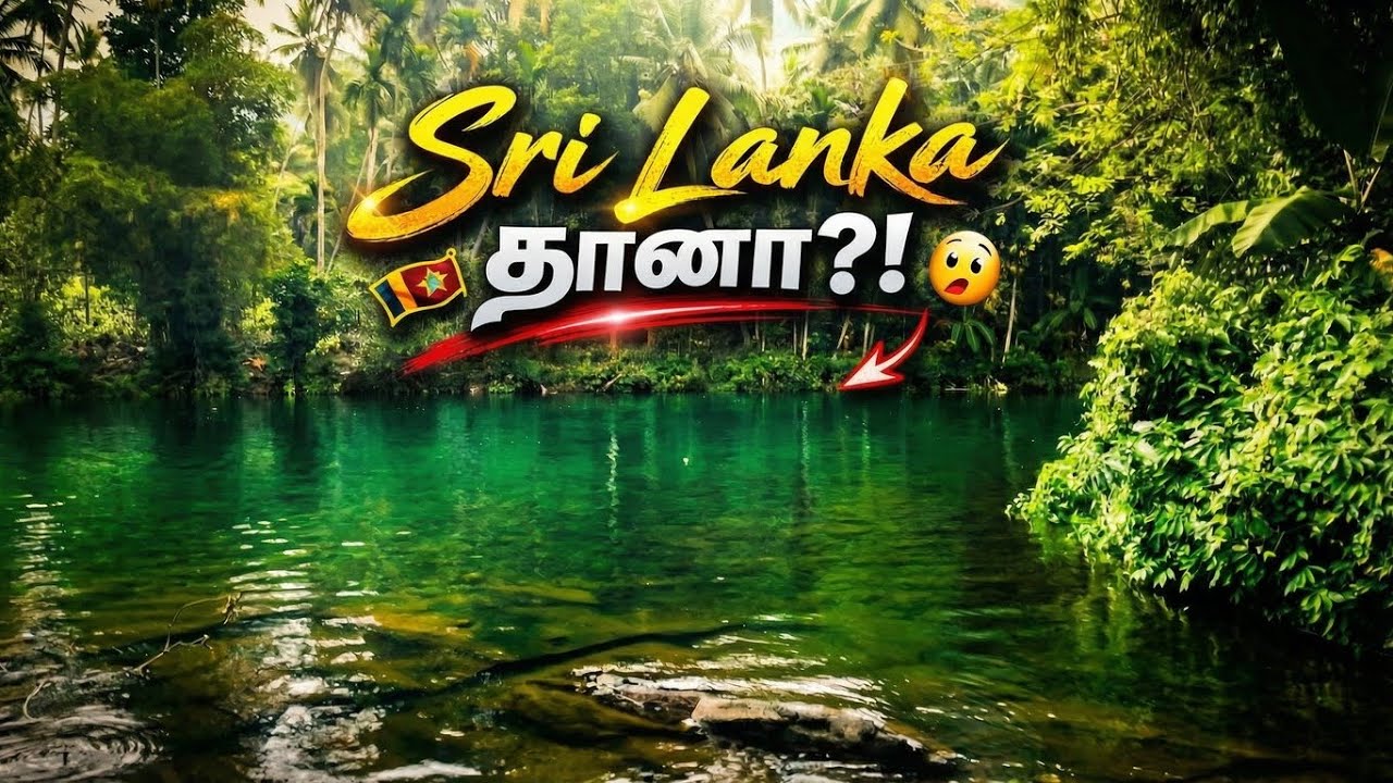 அமைதியான பேசனெல்ல 🌿 | Calm River Vibes | TamilTraveLenz
