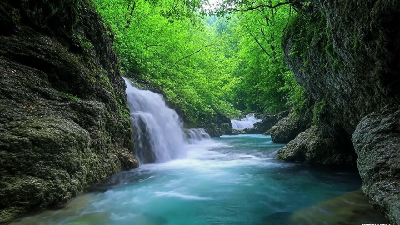 Gentle Piano Music & Water Sounds | Calm Your Mind and Meditate 🌺 Relaxing,Calm Music Relax 8