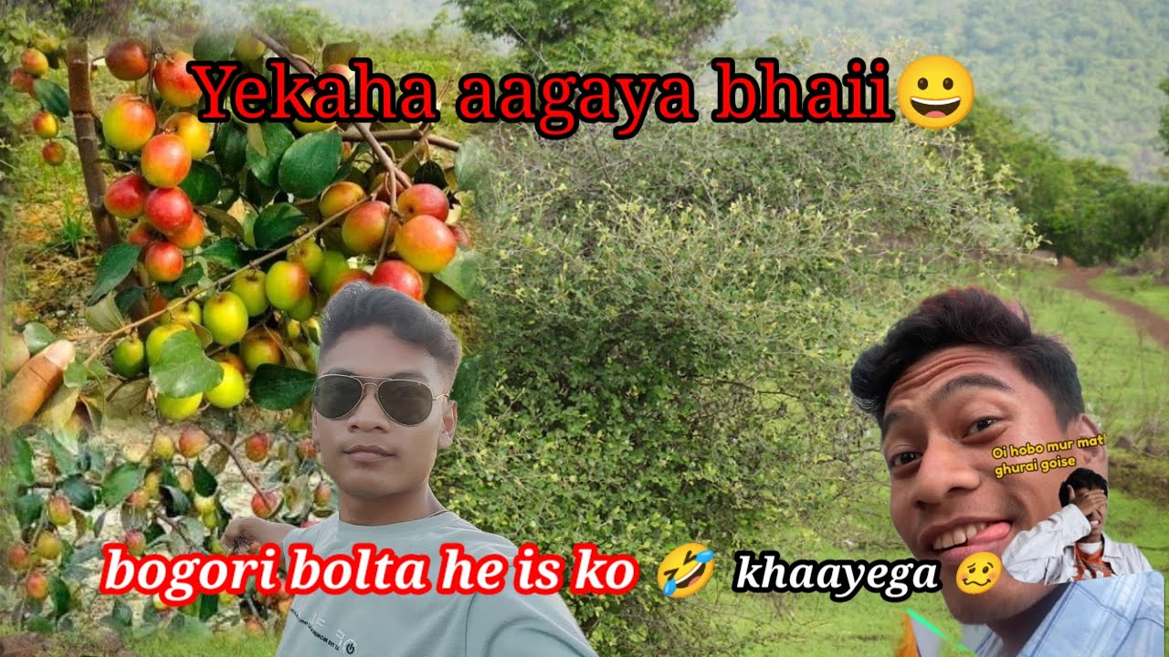 Hello guys 😁 Aagya phirse bawal machane 🤫🤣😆