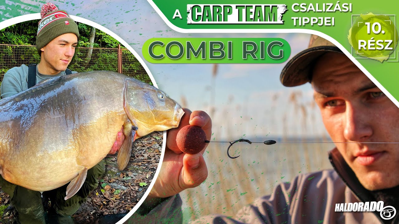 A Haldorádó Carp Team csalizási tippjei – 10. rész - Combi rig
