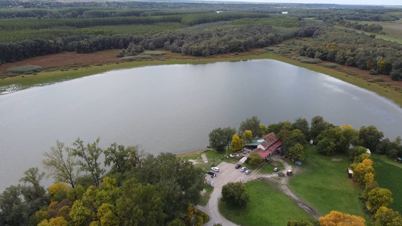 Begeč - sve lepote i prednosti života u predgrađu Novog Sada | Gradske info