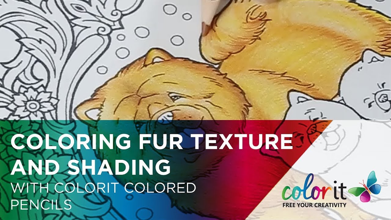 Coloring Dogs Fur With Colored Pencils Tutorial