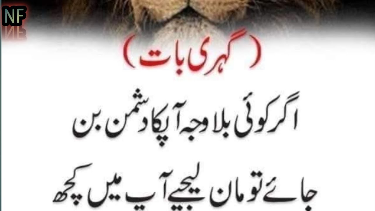 Life changing quotes||emotional quotes in urdu|Hindi @Islamicquotes-18NF