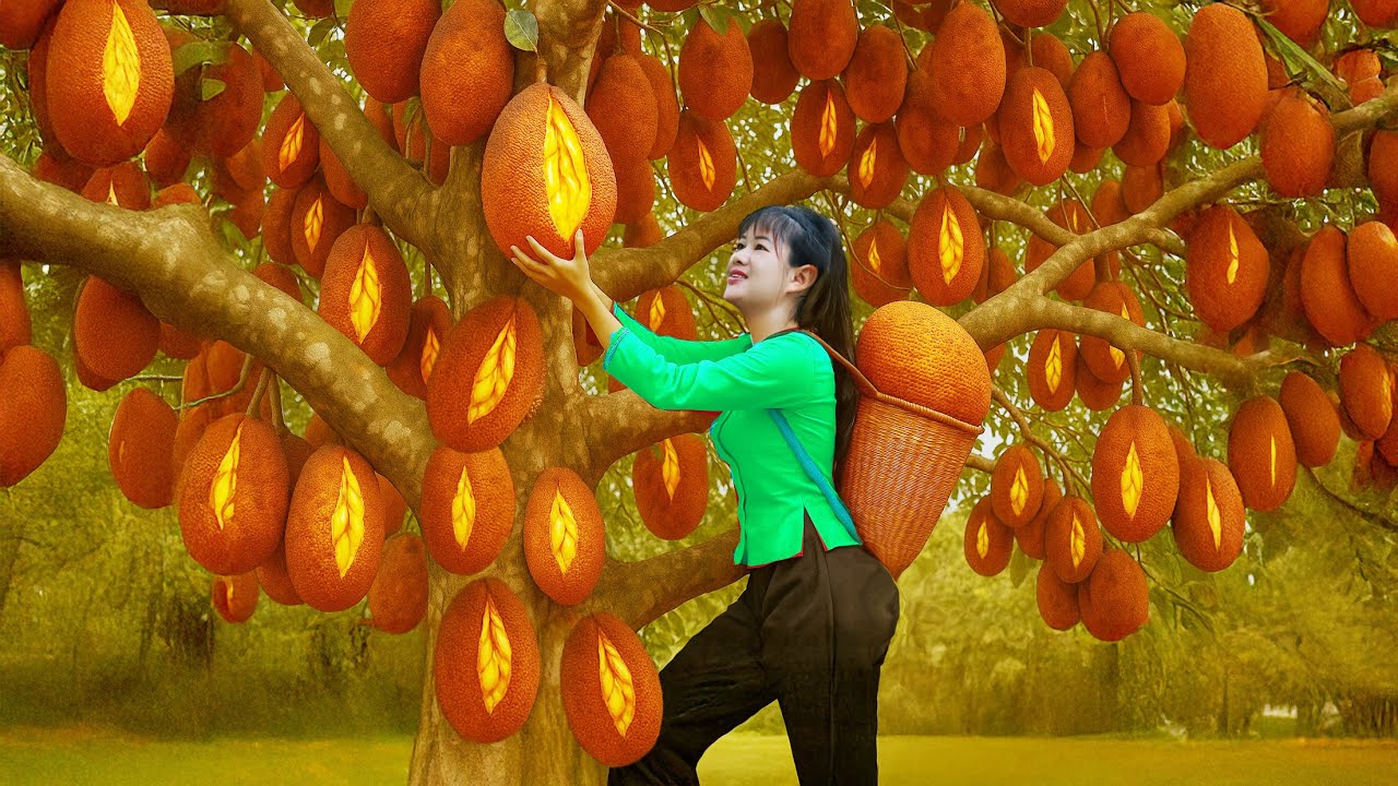 Massive Harvesting Lots of Ripe Jackfruits on High | Sell At Outdoor Market | Luyến Harvest Life