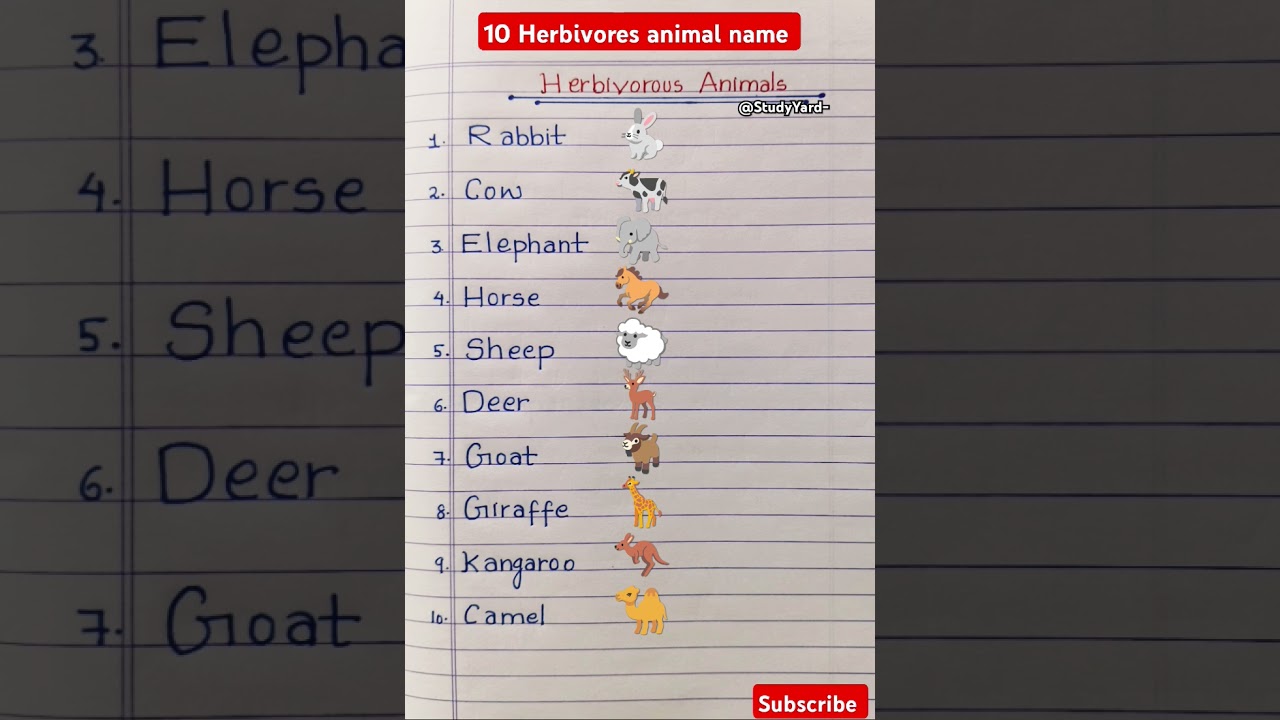 Herbivores animal name l Herbivores animal l 10 herbivores animallCarnivorous Omnivorous herbivores