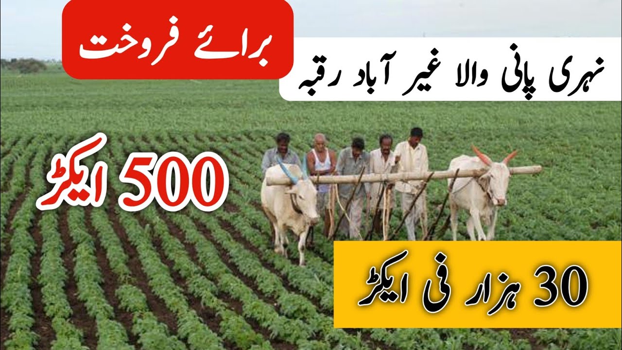 Agriculture land for sale in Punjab Pakistan | land for sale in Punjab Pakistan