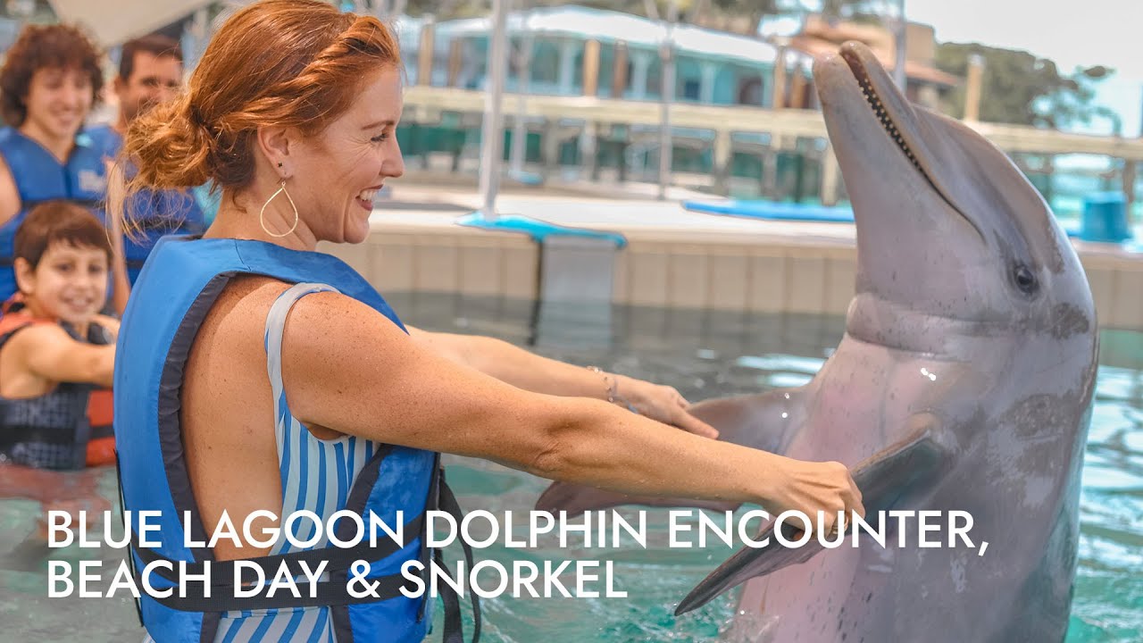 Blue Lagoon Dolphin Encounter, Beach Day & Snorkel | Shore Excursion | NCL