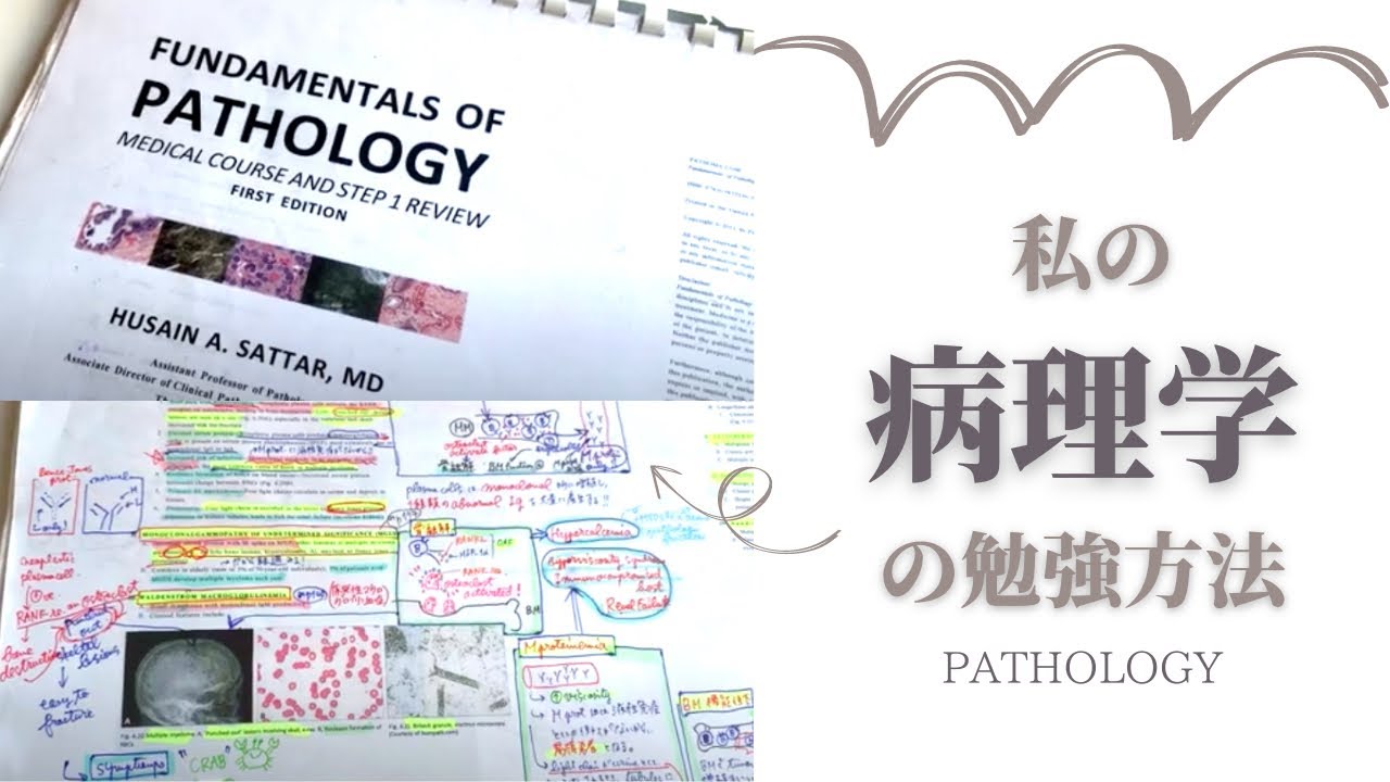 病理学の効率の良いお勉強の仕方💉海外医学生流 👩‍⚕️Pathology 　#pathoma #医学生　#暗記 #ノート
