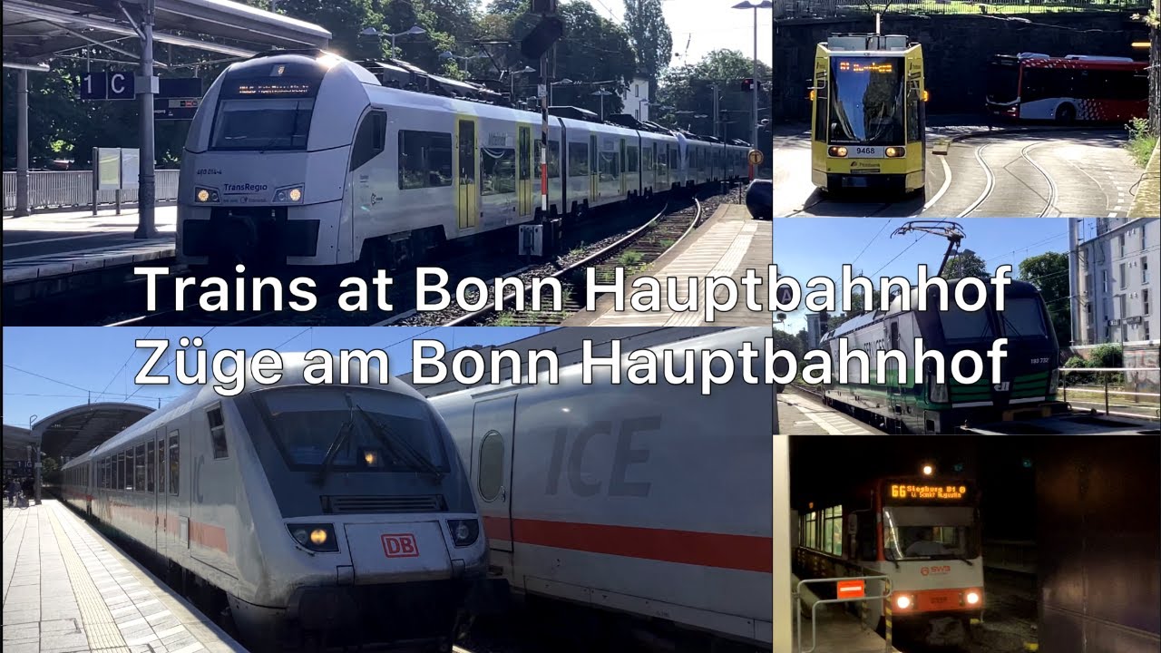 Trains at Bonn Hauptbahnhof (Bonn main station) 10/8/23
