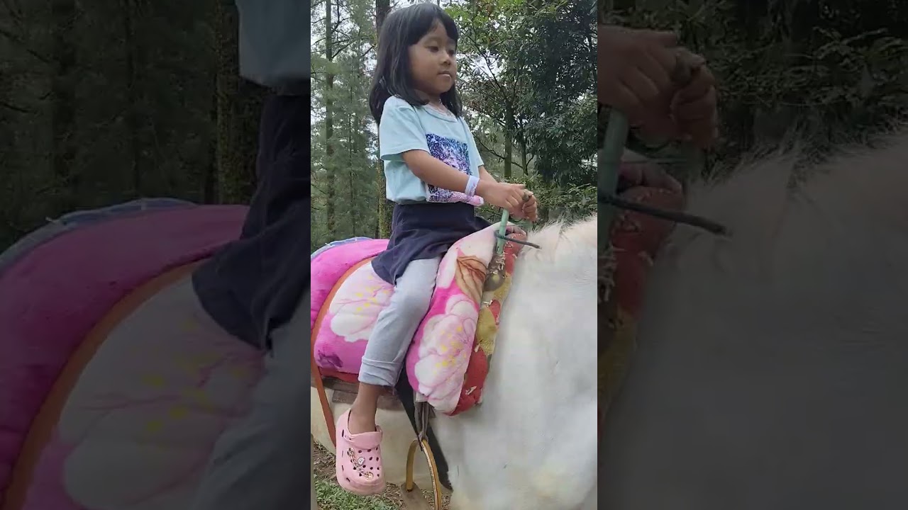 Naik Kuda Pink
