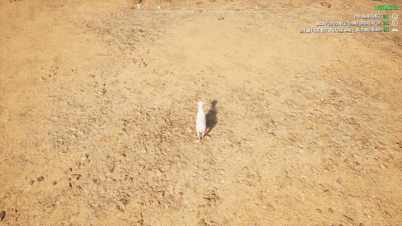 The battlefield
