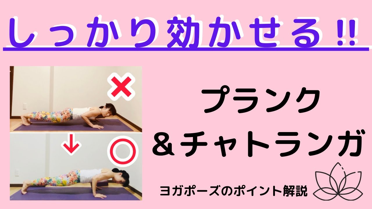 【ヨガポーズのポイント解説】プランク＆チャトランガ
