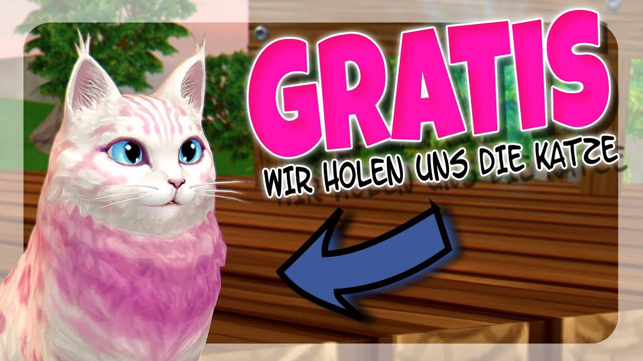 WIR VERDIENEN UNS DIE GRATIS KATZE 🐴  ABENDRUNDE SERVER 6 | Star Stable [SSO]