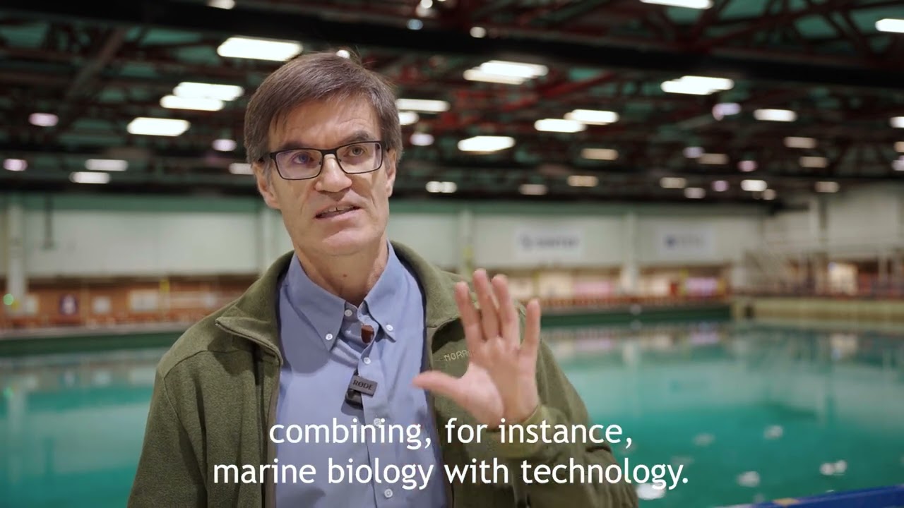 Trondheim Model - Ocean Tech Centre ecosystems