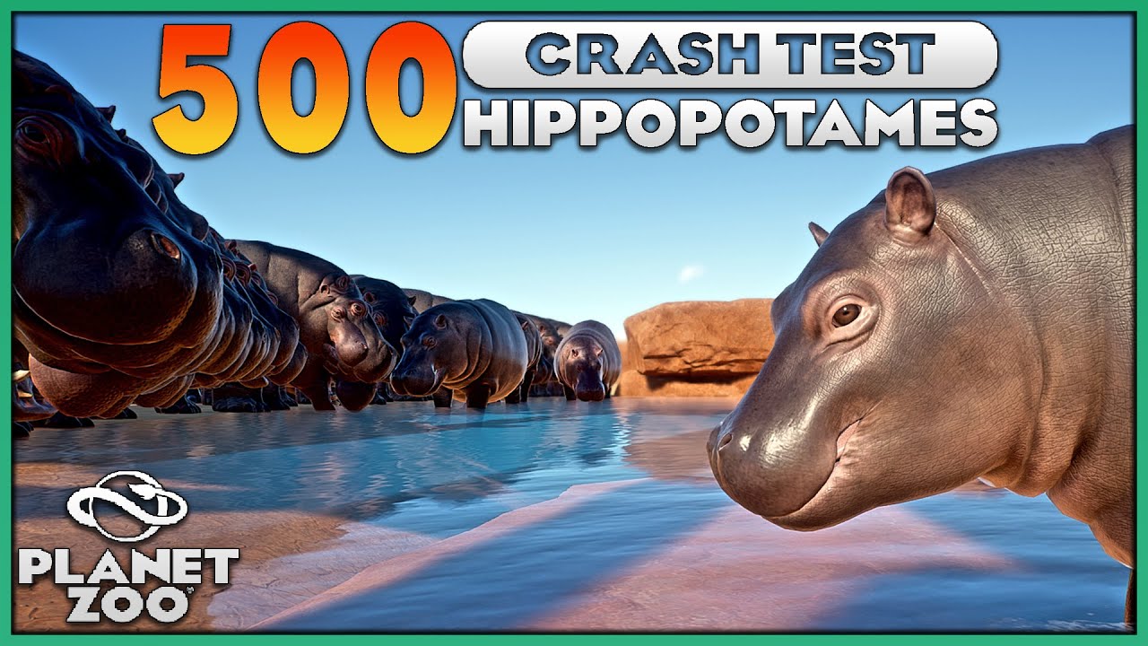500 Hippopotames dans un ENCLOS | CRASH TEST | PLANET ZOO