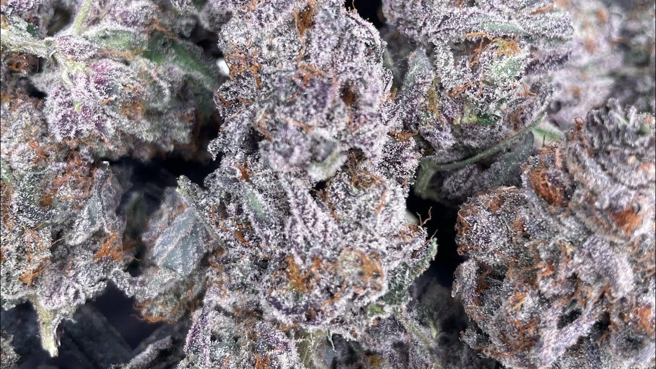 Oreoz cannabis fire weed