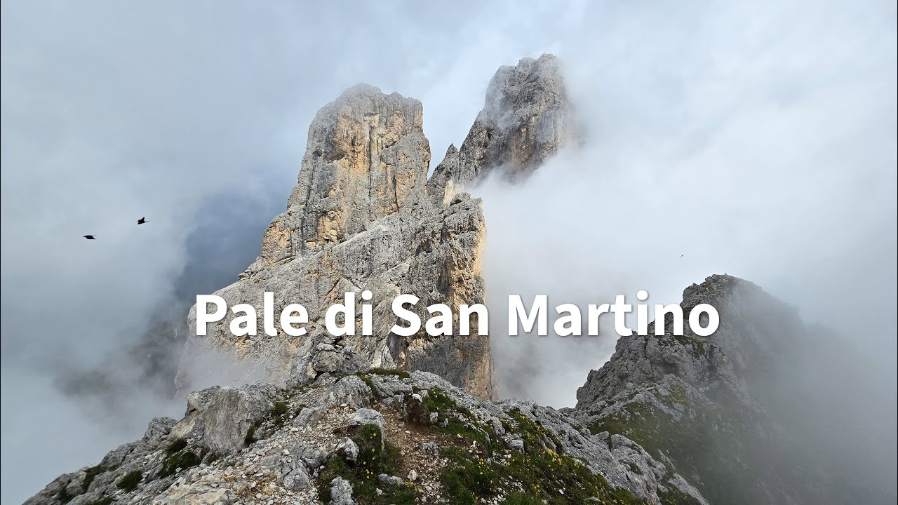 Pale di San Martino - 25.07.2024