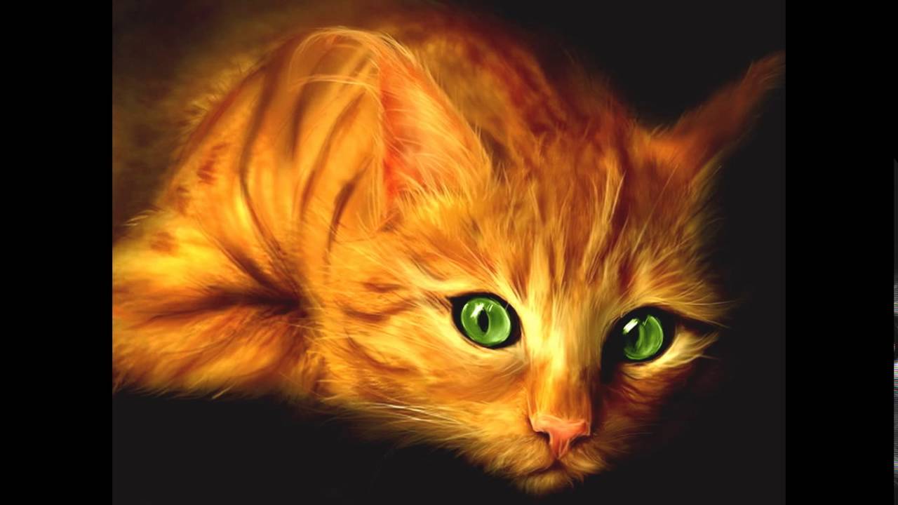 Firekitty A slide show ^^