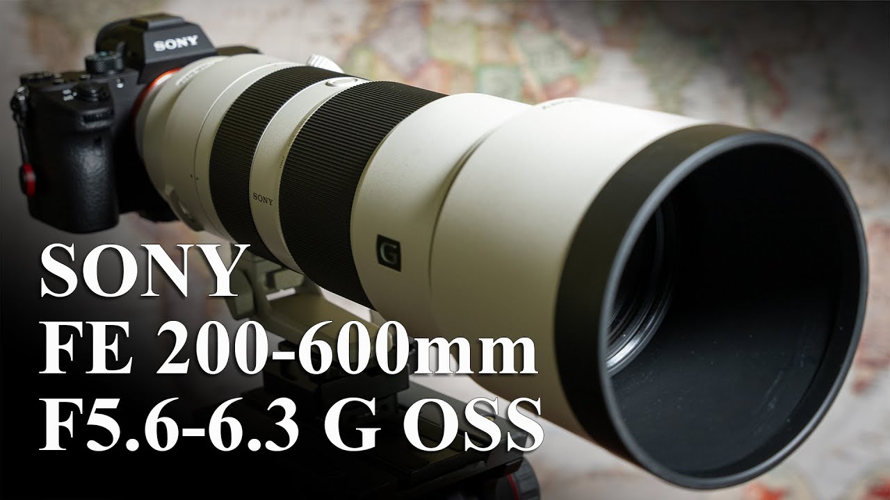 Sony 200-600mm Zoom Lens - Is it the Ultimate Wildlife Lens for the Enthusiast and Semi-Pro?